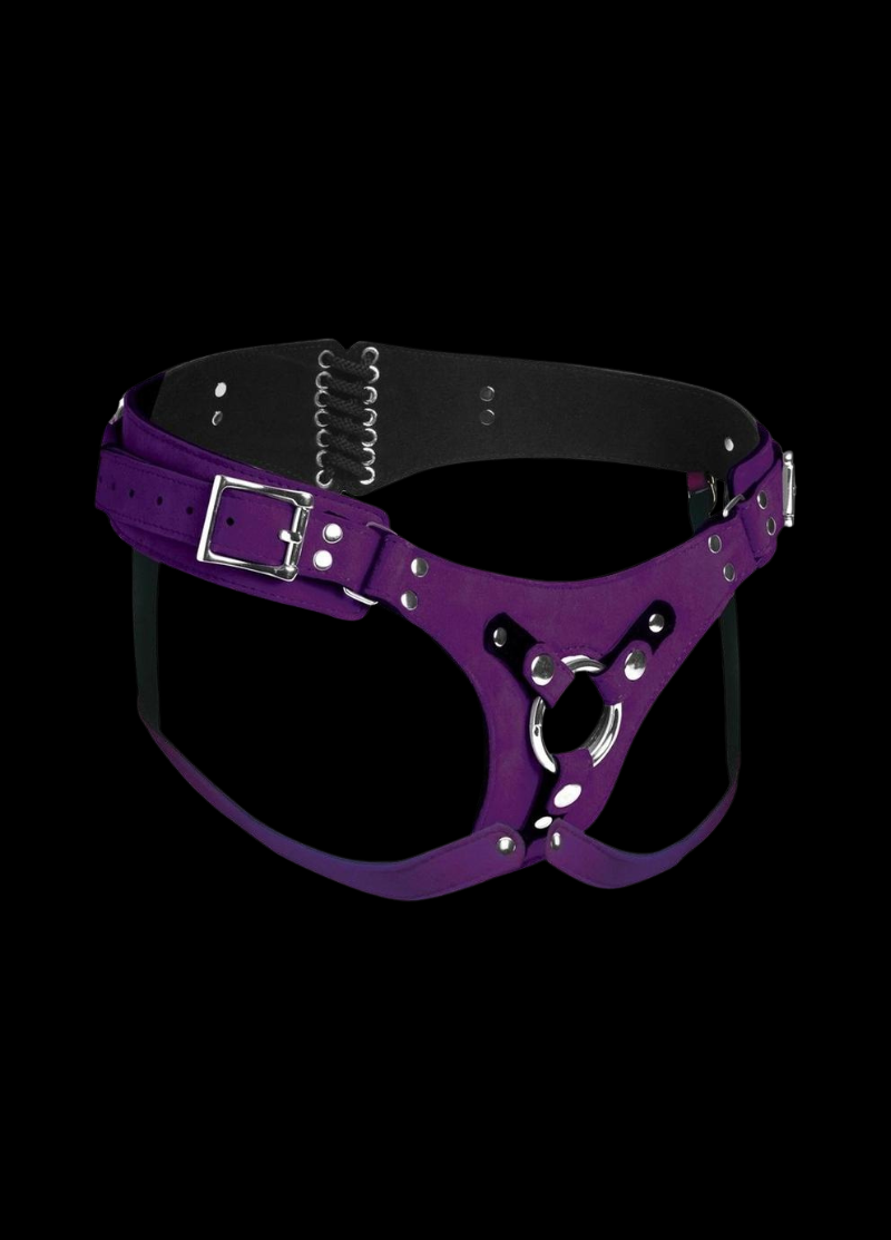 Deluxe Leather Corset Harness