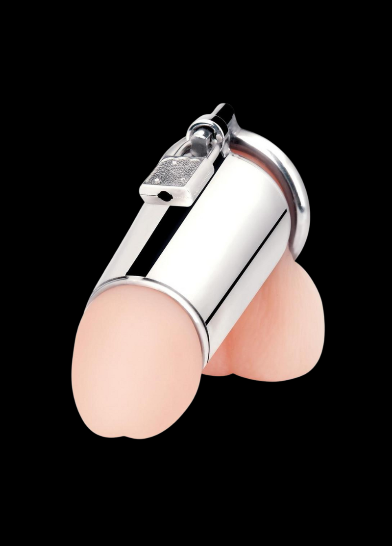 The Ultimate Cock Tease Cage