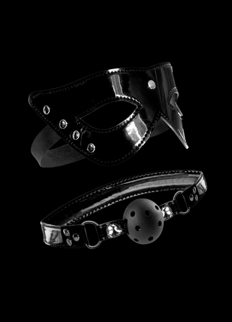Fetish Fantasy Masquerade Mask &amp; Ball Gag