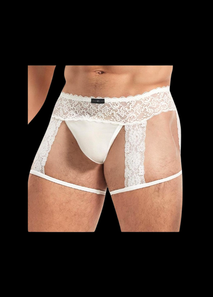 Lace &amp; Mesh Garter Brief