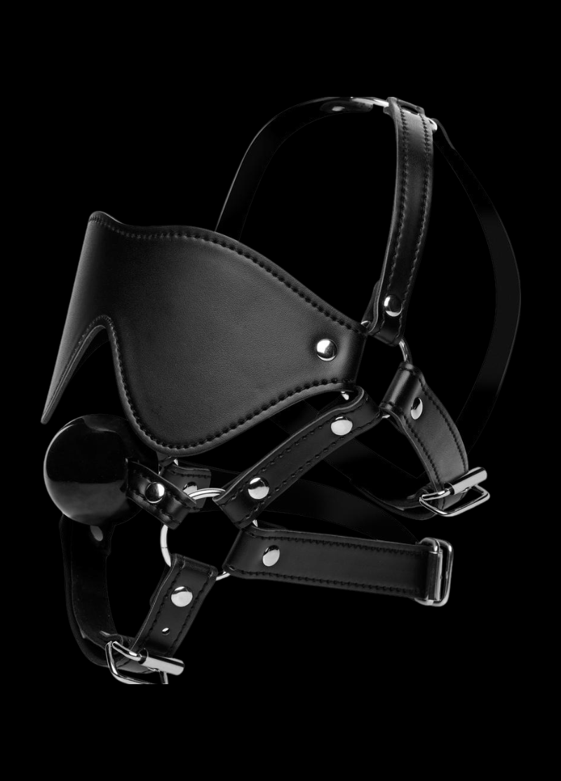 Strict Eye Mask Harness with Ball Gag