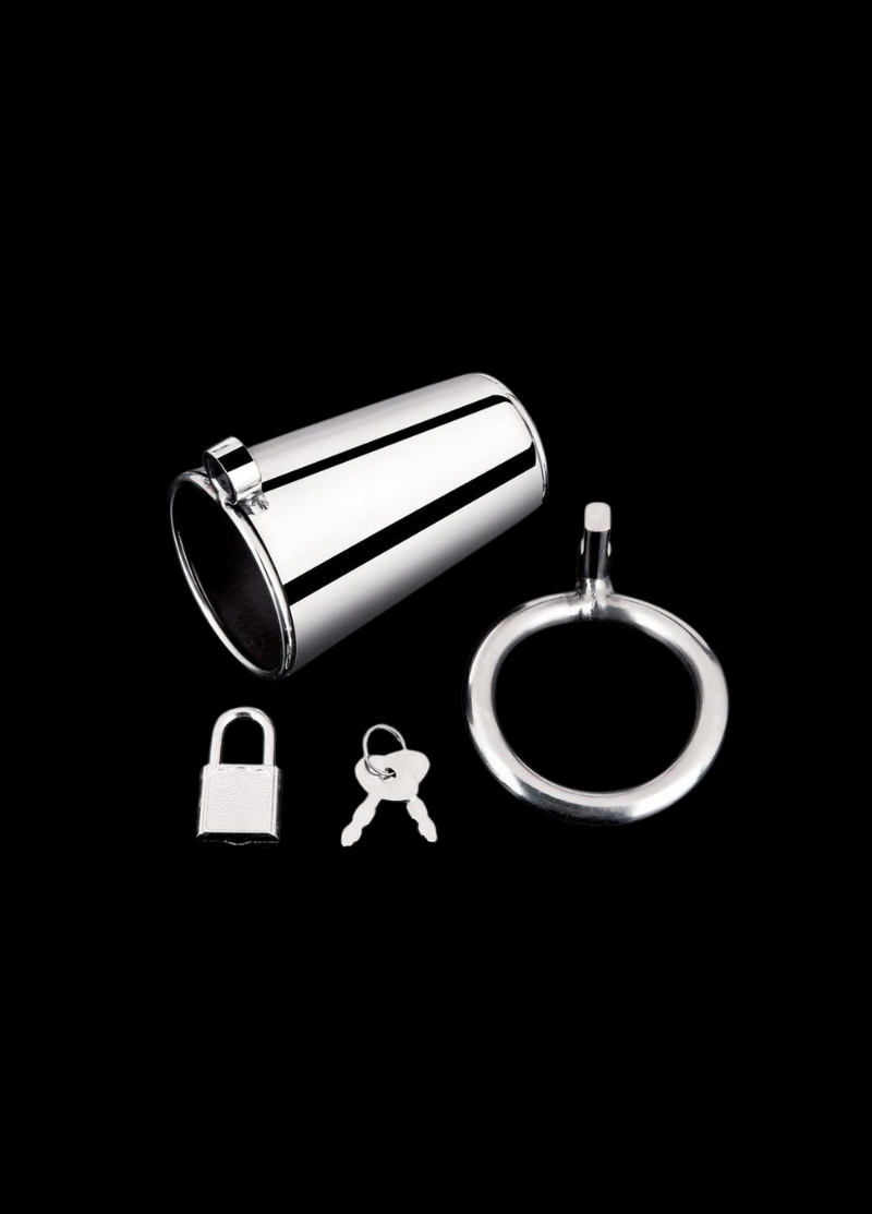 The Ultimate Cock Tease Cage