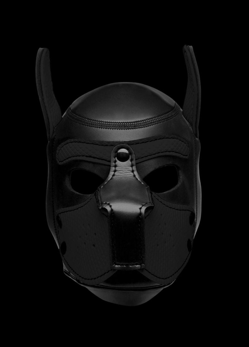 Neoprene Puppy Hood