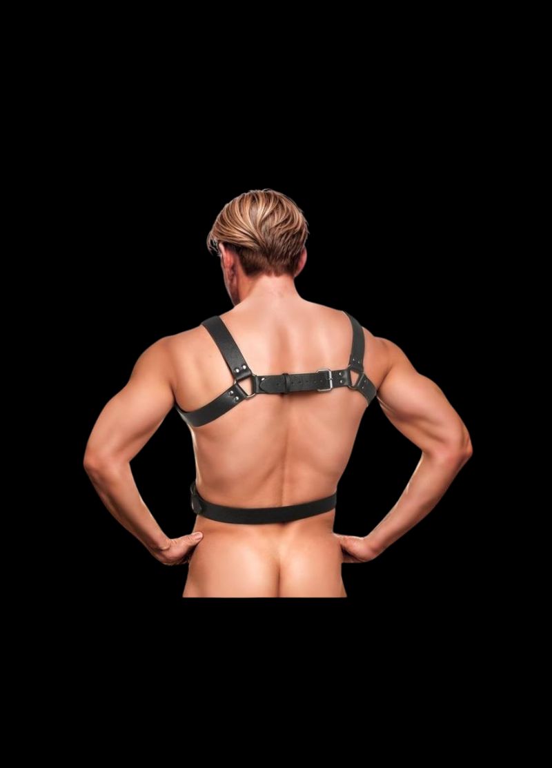 Strict 6 O-Ring Chest Harness