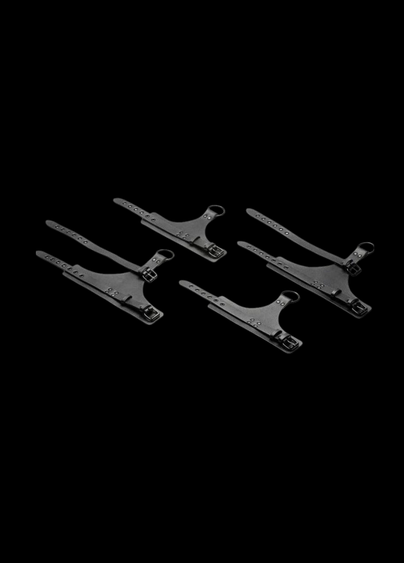 The Dominion All-Access Bed Restraint System