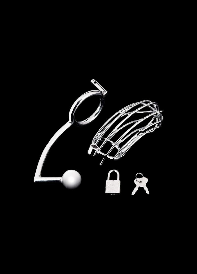 The Dominion Cock Cage with Anal Stimulator