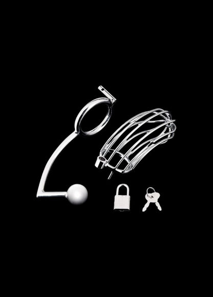 The Dominion Cock Cage with Anal Stimulator