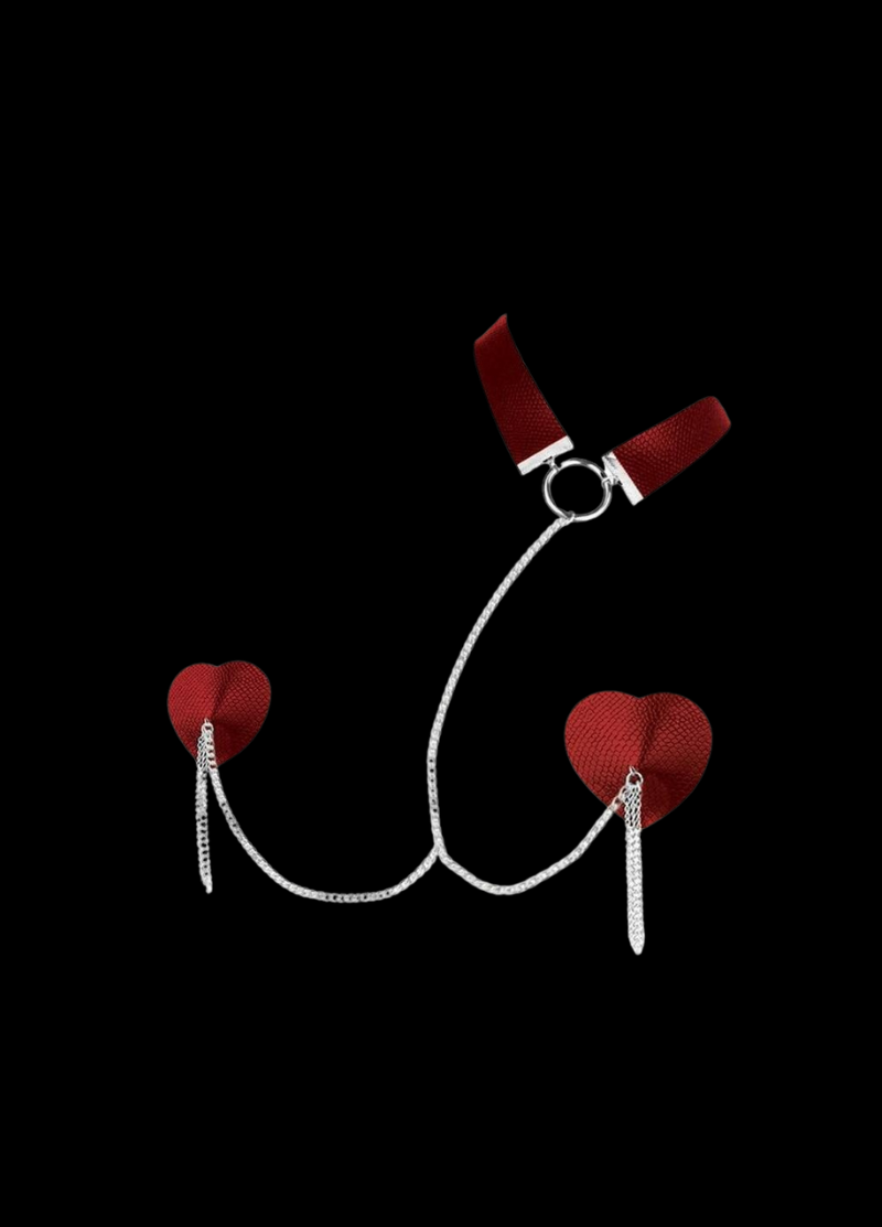 Dominatrix luxury Pasties &amp; Collar Set