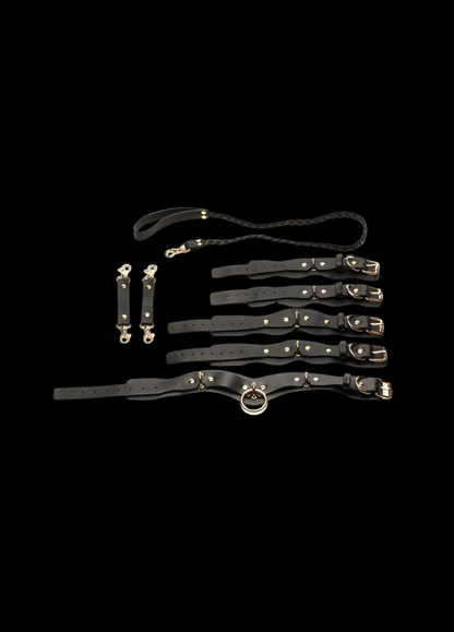 Bedroom Bliss Lover’s Restraints