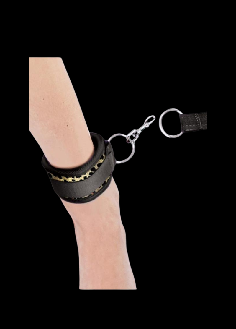 Lux Fetish Bed Spreader Restraint System