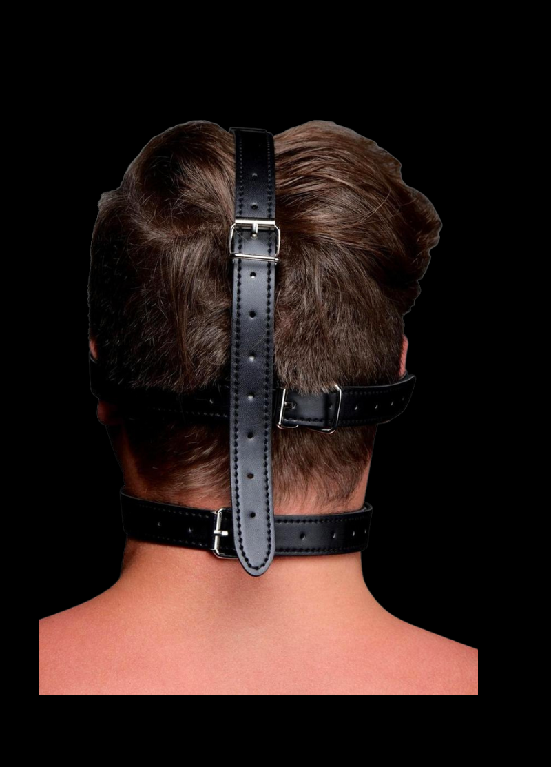 Strict Eye Mask Harness with Ball Gag