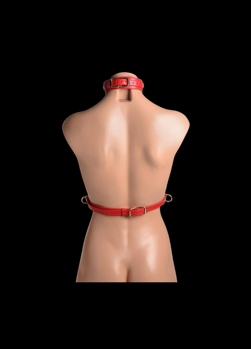 The Sovereign Scarlet Harness