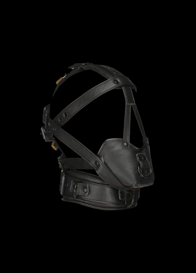Master Series Lockable Head Harness with Muzzle