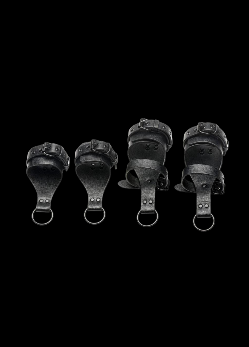 The Dominion All-Access Bed Restraint System