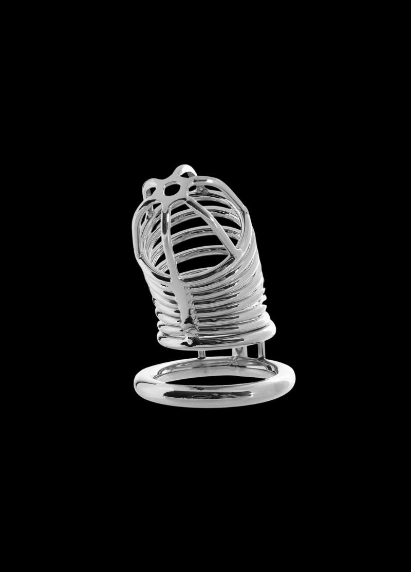 The Deluxe Chastity Cage