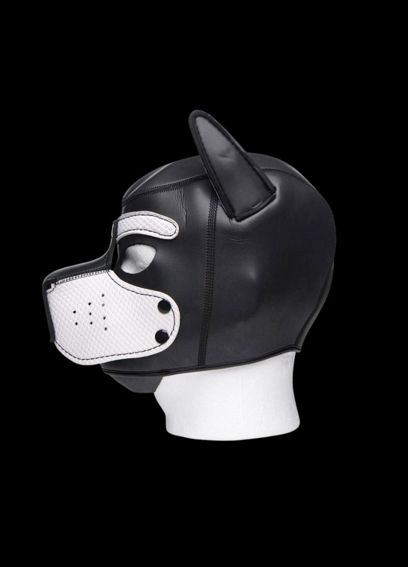 Neoprene Puppy Hood
