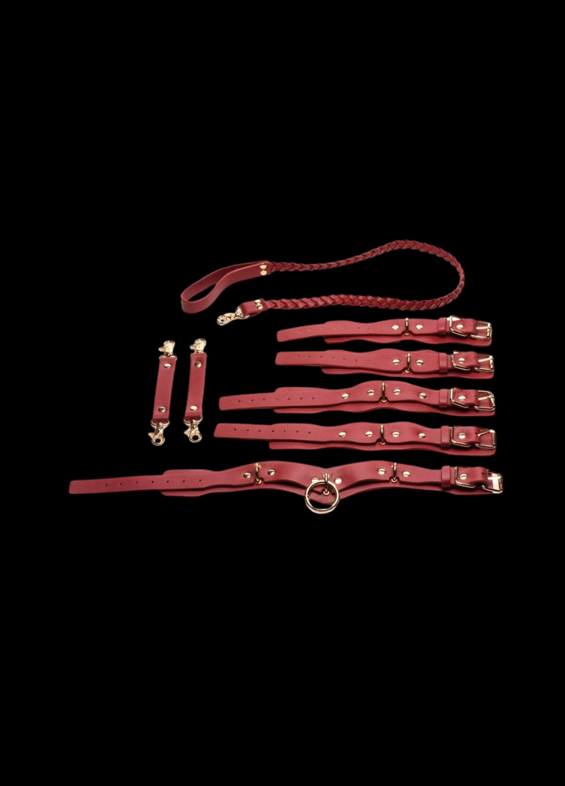 Bedroom Bliss Lover’s Restraints