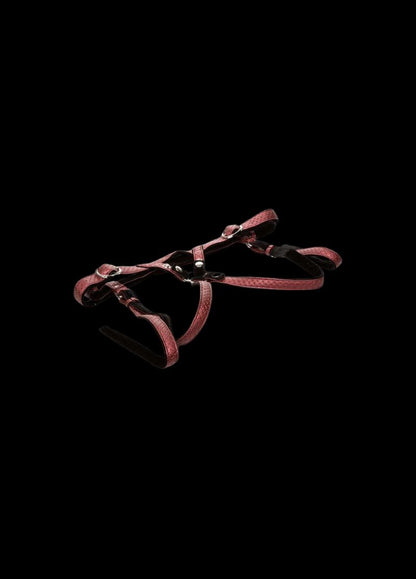 The Regal Duchess Adjustable Harness