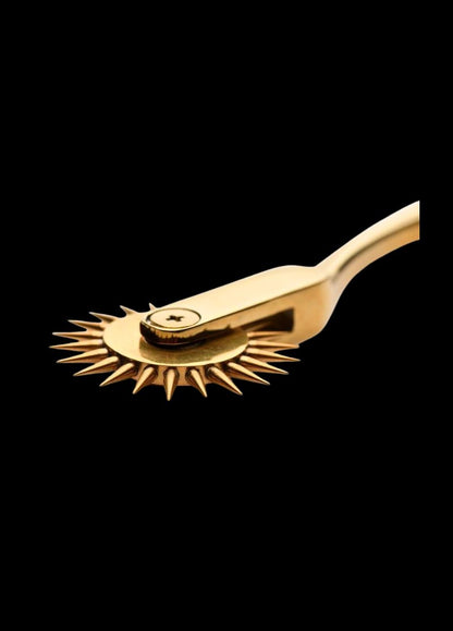 Sensation Wartenberg Wheel