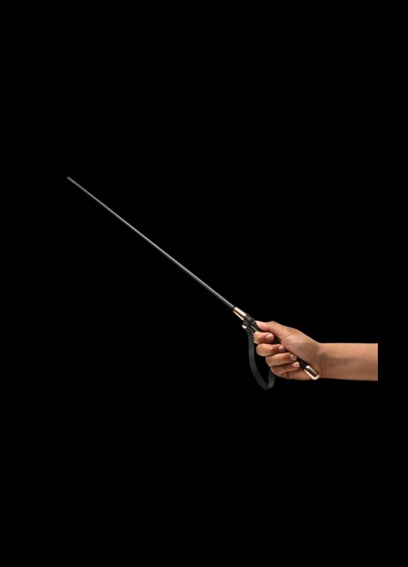 Master Series Sinful Impact Cane