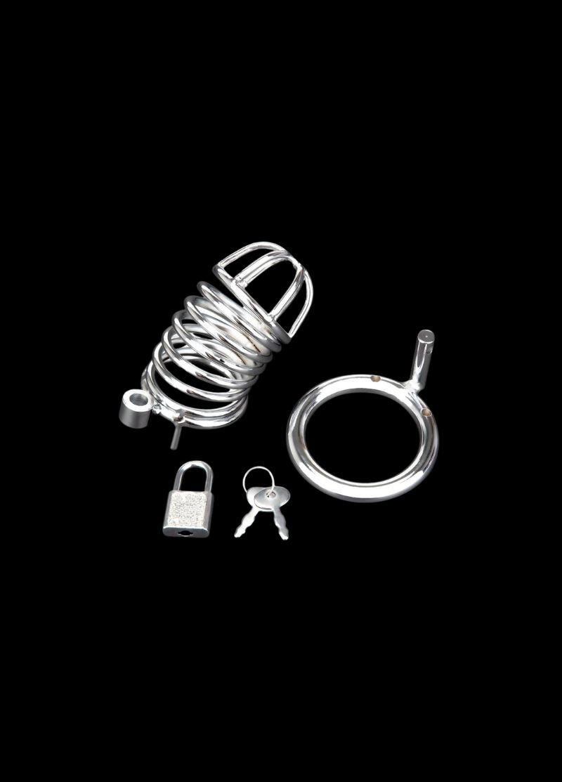The Deluxe Chastity Cage