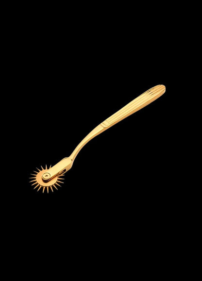 Sensation Wartenberg Wheel