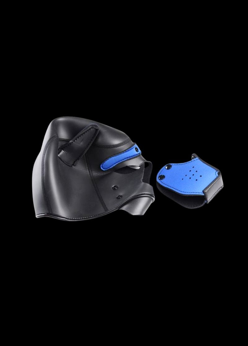 Neoprene Puppy Hood