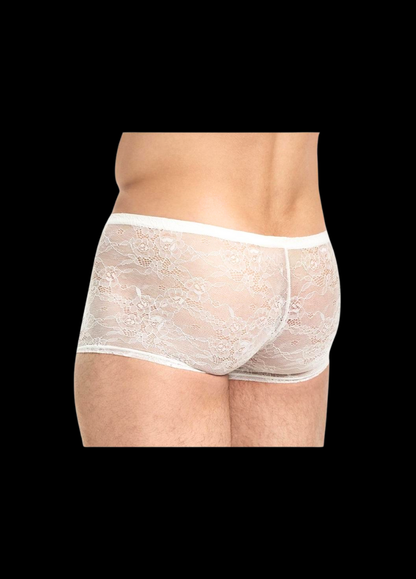 Sleek Lace Boxers