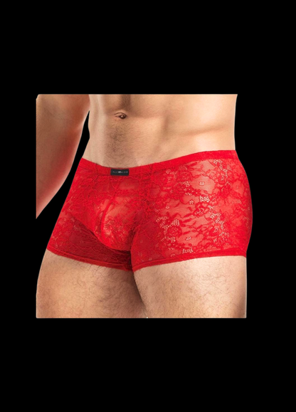 Sleek Lace Boxers