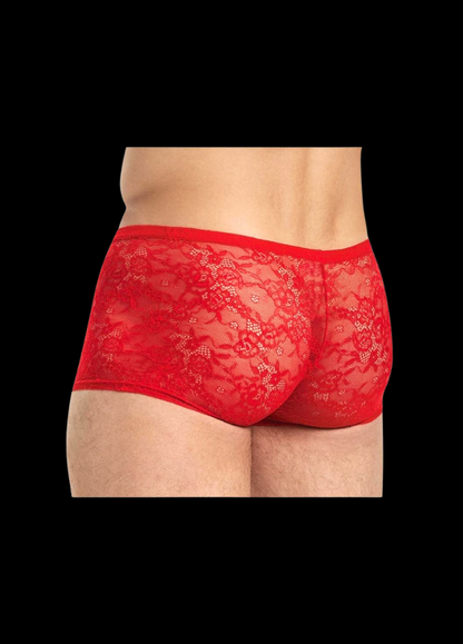 Sleek Lace Boxers